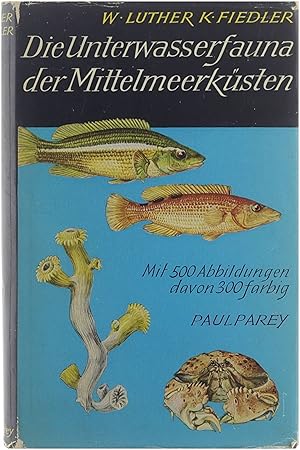 Bild des Verkufers fr Die Unterwasserfauna der Mittelmeerksten zum Verkauf von Untje.com