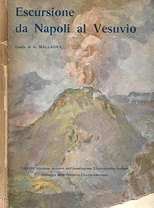 Escursione da Napoli al Vesuvio