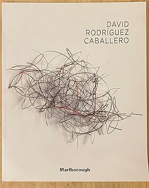 Seller image for David Rodrguez Caballero. Abstracciones Poticas/ Poetic Abstractions (Galera Marlborough 2017) for sale by Largine