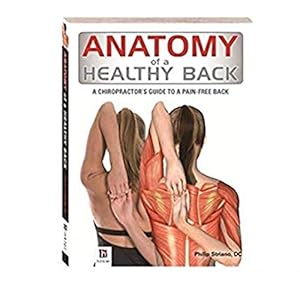 Seller image for anatomy of a healthy back, for sale by WeBuyBooks
