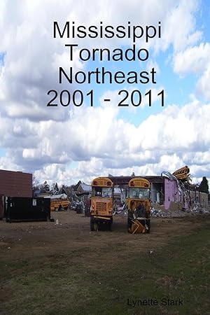 Seller image for Mississippi Tornado Northeast 2001 - 2011 for sale by moluna
