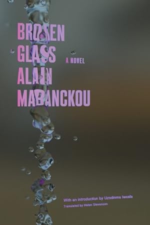 Imagen del vendedor de Broken Glass a la venta por GreatBookPrices