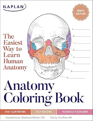 Bild des Verkufers fr Anatomy Coloring Book zum Verkauf von moluna