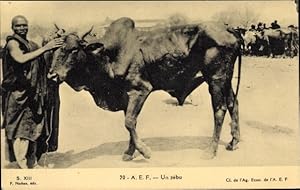 Ansichtskarte / Postkarte Gabun Französisch Äquatorialafrika, Zebu, Buckelrind, Afrikaner, Viehmarkt