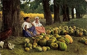 Ansichtskarte / Postkarte Balkan, Melonenhändlerinnen, Bäuerinnen an einem Feldweg