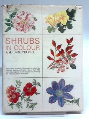 Bild des Verkufers fr Shrubs in colour ('Amateur Gardening.' Encyclopaedias) zum Verkauf von World of Rare Books