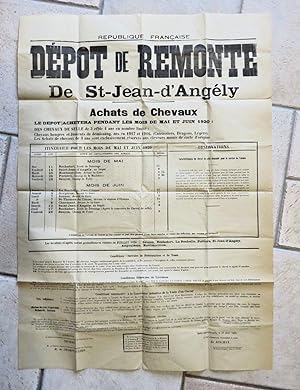 Depot de Remonte de St Jean d'Angely.Chevaux.Charente-maritime