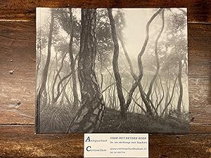 Bild des Verkufers fr Bae, Bien-U - Sacred Wood zum Verkauf von Antiquariaat Coriovallum