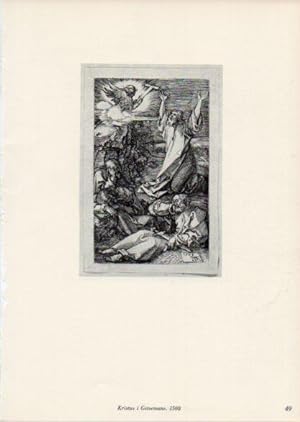 Seller image for LAMINA V35656: Albrecht Durer. Kristus i Getsemane for sale by EL BOLETIN