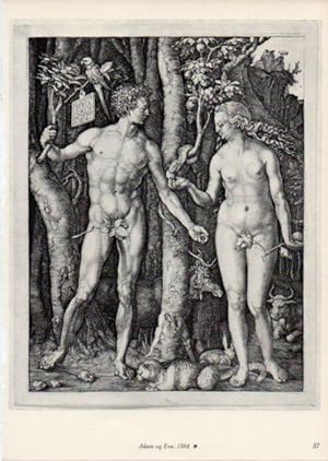 Seller image for LAMINA V35650: Albrecht Durer. Adam og Eva for sale by EL BOLETIN
