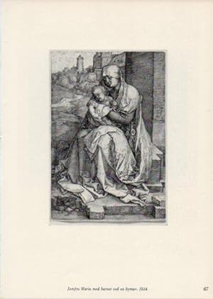 Seller image for LAMINA V35665: Albrecht Durer. Jomfru Maria med barnet, ved en bymur for sale by EL BOLETIN