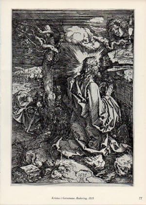 Seller image for LAMINA V35670: Albrecht Durer. Kristus i Getsemane for sale by EL BOLETIN