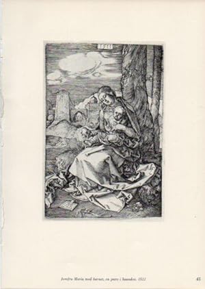 Seller image for LAMINA V35654: Albrecht Durer. Jomfru Maria med barnet, en poere i haanden for sale by EL BOLETIN