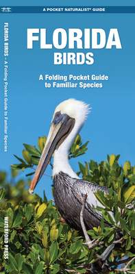 Bild des Verkufers fr Florida Birds: A Folding Pocket Guide to Familiar Species (Paperback or Softback) zum Verkauf von BargainBookStores