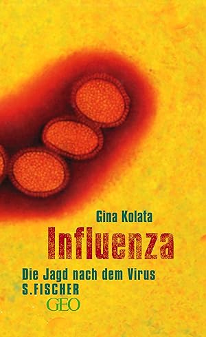 Seller image for Influenza : die Jagd nach dem Virus. Gina Kolata. Aus dem Amerikan. von Irmengard Gabler for sale by Preiswerterlesen1 Buchhaus Hesse