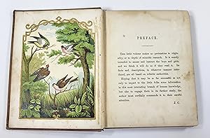 Imagen del vendedor de The Boys' and Girls' Illustrated Bird Book a la venta por Resource Books, LLC