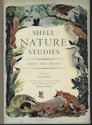 Shell Nature Studies - Birds and Beasts