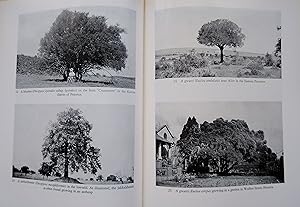 Seller image for Trees of South Africa for sale by Mike Park Ltd