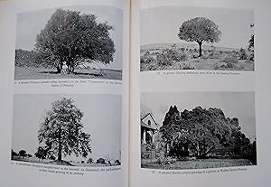 Trees of South Africa