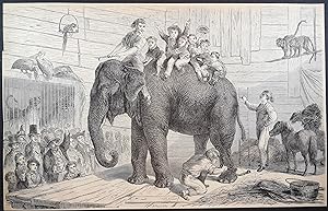 Lithographie um 1868. Die Reise nach Afrika I.