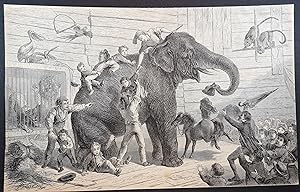 Lithographie um 1868. Die Reise nach Afrika II.