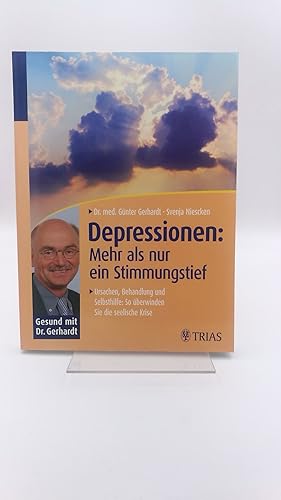 Depressionen Mehr als nur ein Stimmungstief / Günter Gerhardt, Svenja Niescken