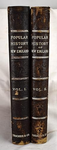 Imagen del vendedor de History of New England, Containing Historical and Descriptive Sketches.in Two Volumes (1620-1880) a la venta por Sequitur Books