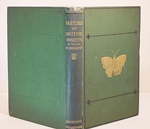 Sketches of British Insects A Handbook For Beginners in the Study of Entomology