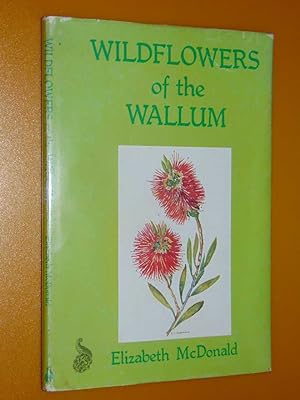 Wildflowers Of The Wallum