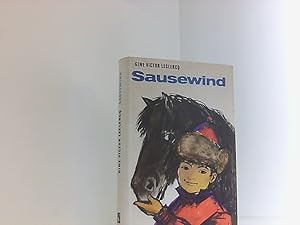 Seller image for Sausewind for sale by Book Broker