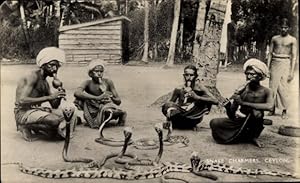 Bild des Verk�ufers f�r Ansichtskarte / Postkarte Ceylon Sri Lanka, Snake Charmers, Schlangenbeschw�rer, Kobras zum Verkauf von akpool.de - akpool GmbH