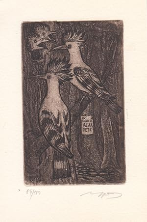 Bild des Verkufers fr Ex Libris Alma Petz. Zwei Spechte am Baum vor zwei Jungvgeln. zum Verkauf von Antiquariat  Braun