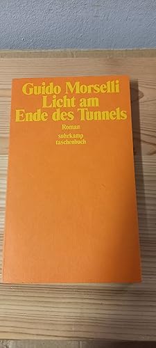 Imagen del vendedor de Licht am Ende des Tunnels : Roman. Dt. von Arianna Giachi / Suhrkamp-Taschenbuch ; 627 a la venta por Versandantiquariat Schfer