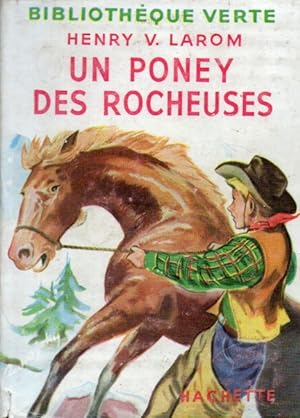 Un poney des Rocheuses
