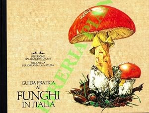 Guida pratica ai funghi in Italia.