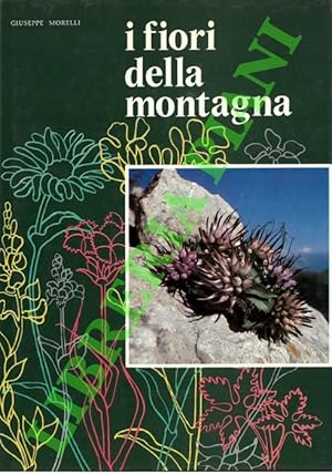 I fiori della montagna. Iconografia fotografica.