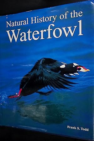 Bild des Verkufers fr Natural History of the Waterfowl zum Verkauf von Barter Books Ltd
