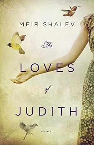 Bild des Verkufers fr The Loves of Judith: A Novel zum Verkauf von WeBuyBooks