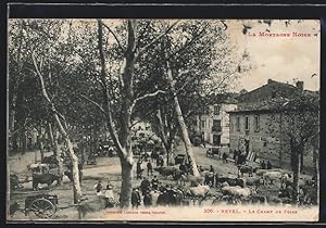 Carte postale Revel, Le Champ de Foire