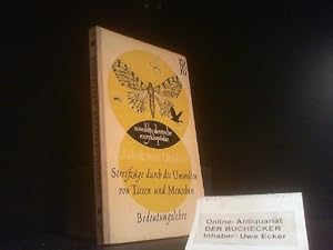 Bild des Verkufers fr Streifzge durch die Umwelten von Tieren und Menschen : Ein Bilderbuch unsichtbarer Welten. Jakob von Uexkll ; Georg Kriszat; Bedeutungslehre / Jakob von Uexkll. Mit e. Vorw. von Adolf Portmann / rowohlts deutsche enzyklopdie ; 13 zum Verkauf von Der Buchecker
