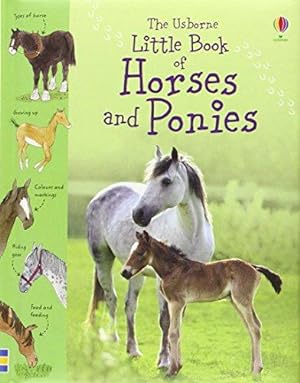Seller image for Little Book of Horses and Ponies (Usborne Little Books) for sale by WeBuyBooks 2