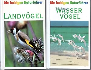 Landvögel + Wasservögel