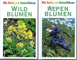 Alpenblumen + Wildblumen