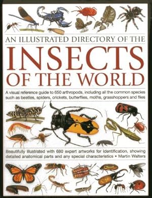 Bild des Verkufers fr Illustrated Directory of Insects of the World: A Visual Reference Guide to 650 Arthropods, Including All the Common Species Such as Beetles, Spiders, . Butterflies, Moths, Grasshoppers and Flies zum Verkauf von WeBuyBooks