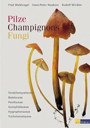Seller image for Pilze, Champignons, Fungi, Band 1, Strobilomycetaceae, Boletaceae, Paxillaceae, Gomphidiaceae, Hygroph. for sale by Frans Melk Antiquariaat