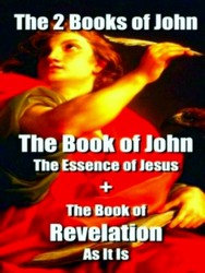 Seller image for The 2 Books of John for sale by Collectors' Bookstore