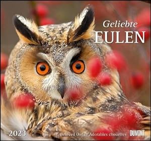Seller image for Geliebte Eulen 2023 - DuMont Wandkalender for sale by AHA-BUCH