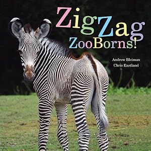 Imagen del vendedor de Zigzag Zooborns! : Zoo Baby Colors and Patterns a la venta por GreatBookPrices