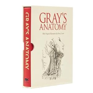 Seller image for Gray's Anatomy: Slip-Case Edition for sale by AHA-BUCH