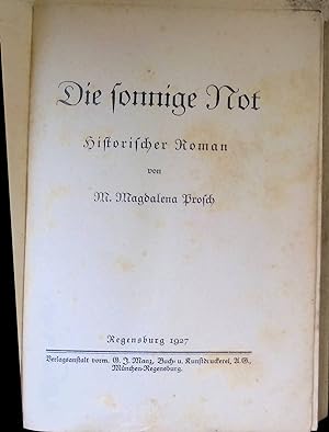 Die sonnige Not : Historischer Roman.